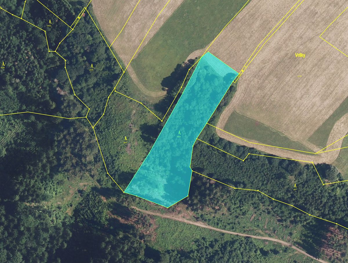 Prodej lesa 9474 m²
