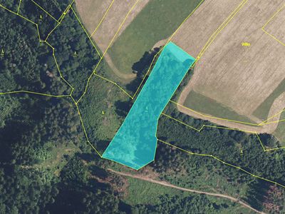 Prodej lesa 9474 m²