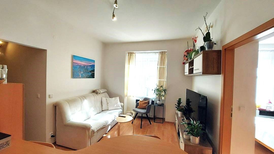 Pronájem bytu 4+kk 55 m² – fotografie 4