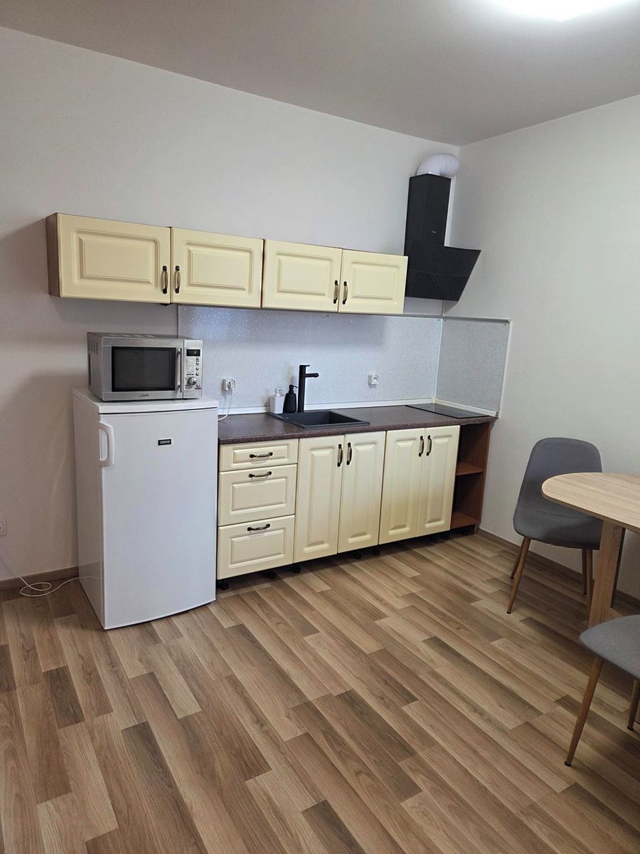 Pronájem bytu 1+kk 29 m² – fotografie 3