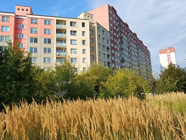 Prodej bytu 3+1, 78 m² (1 z 22)