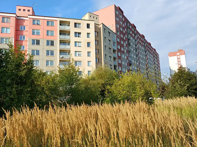 Prodej bytu 3+1 78 m², Plzeň – náhled fotky 1