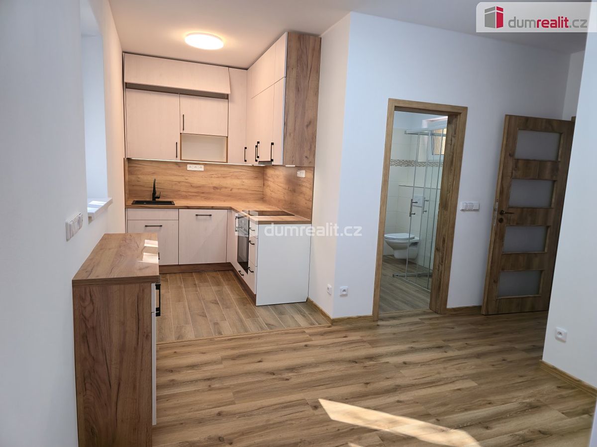 Pronájem bytu 4+kk 75 m² – fotografie 3