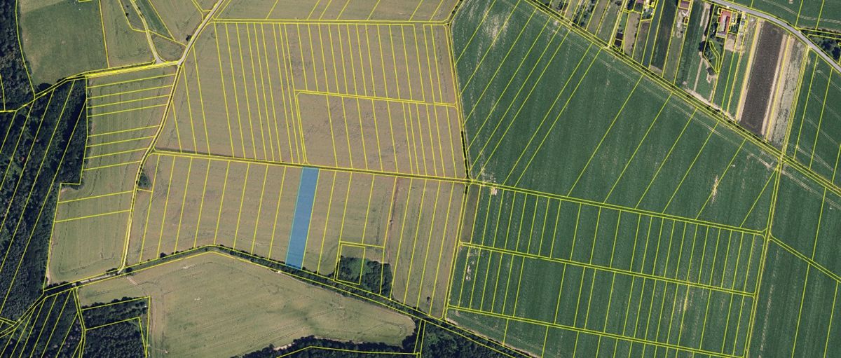 Prodej pole 4651 m² – fotografie 3