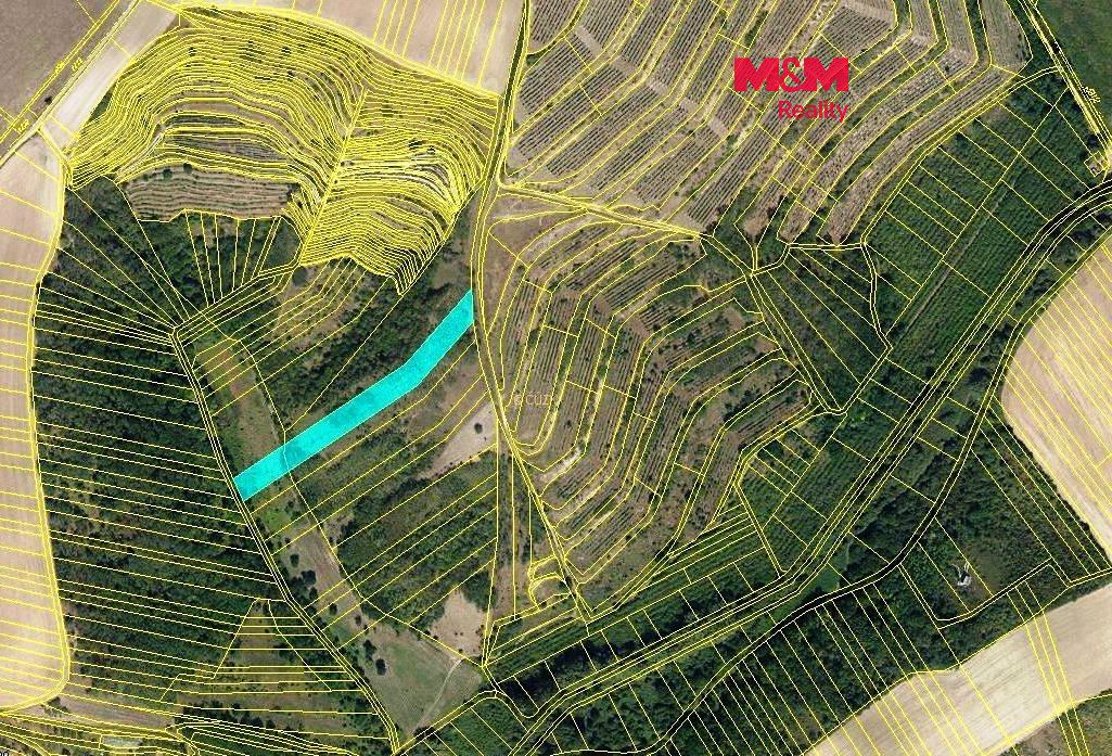 Prodej lesa 3415 m², Hustopeče – fotka 1 z 3
