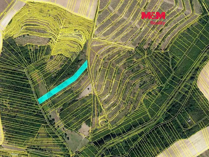 Prodej lesa 3415 m², Hustopeče – náhled fotky 1