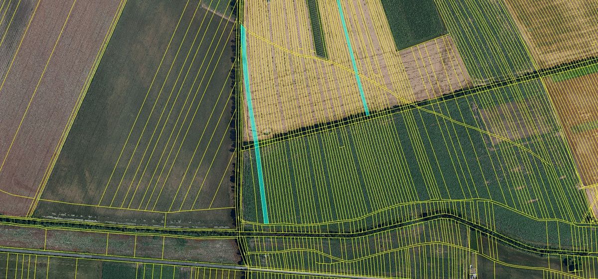 Prodej pole 10488 m² – fotografie 2