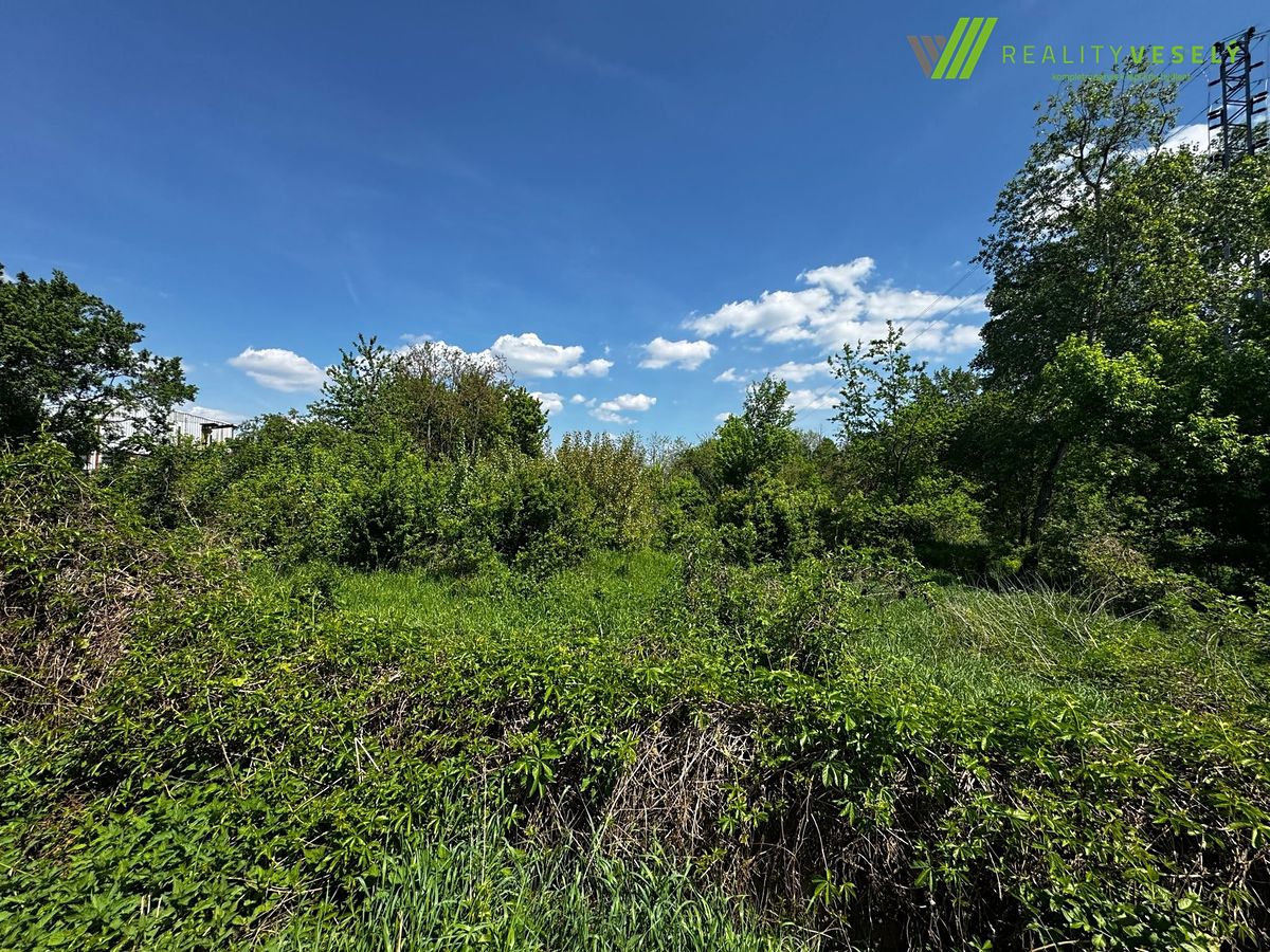Pronájem pozemku 5059 m² – fotografie 2