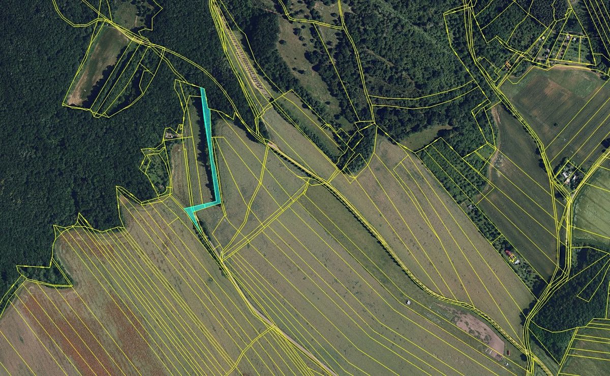 Prodej pole 2840 m² – fotografie 3