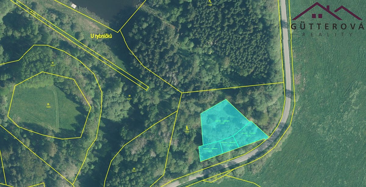 Prodej rybníku (vodní plochy) 2771 m²