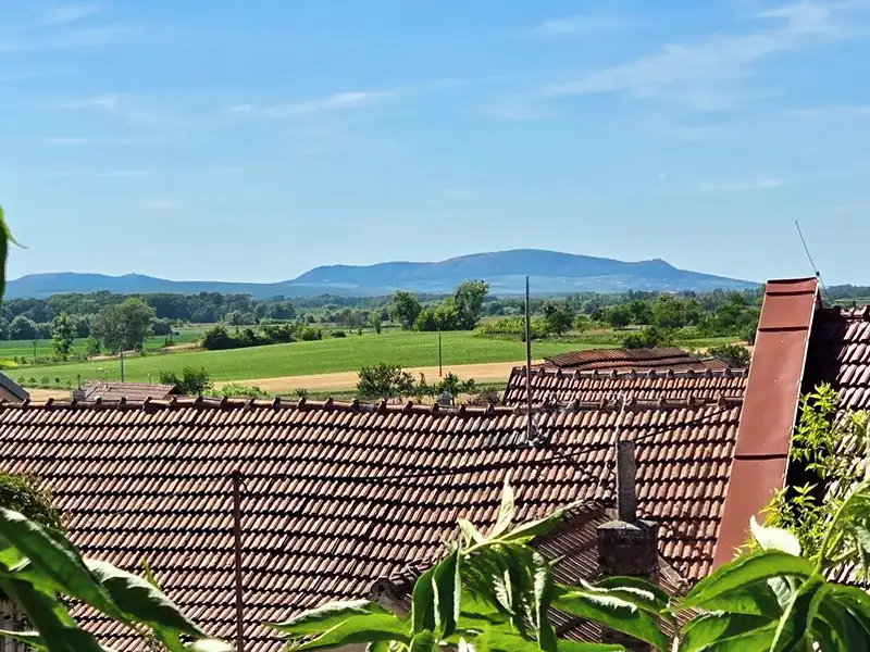 Prodej rodinného domu 113 m², pozemek 174 m², Podivín – náhled fotky 3