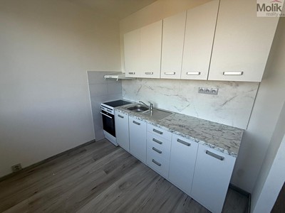 Pronájem bytu 1+1 34 m²
