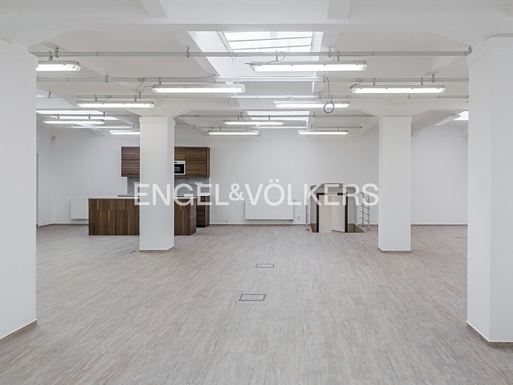Pronájem komerčního prostoru, 333 m² (6 z 15)