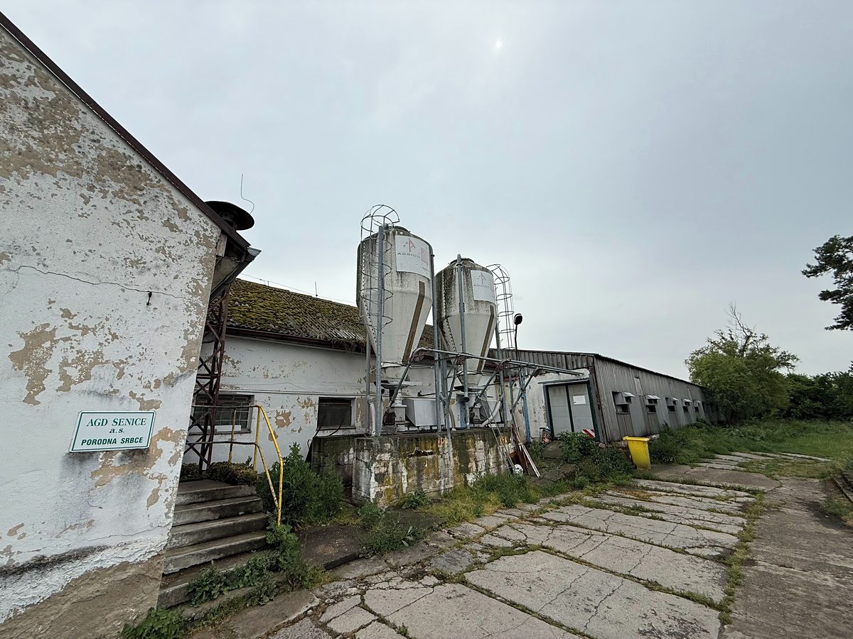 Prodej zemědělského objektu 1248 m² – fotografie 5