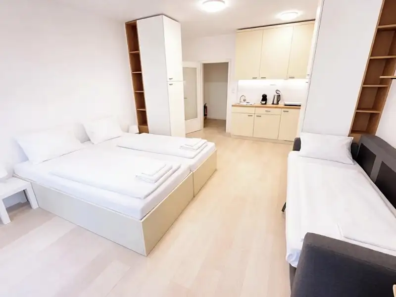 Pronájem bytu 1+kk 30 m², Brno – náhled fotky 3