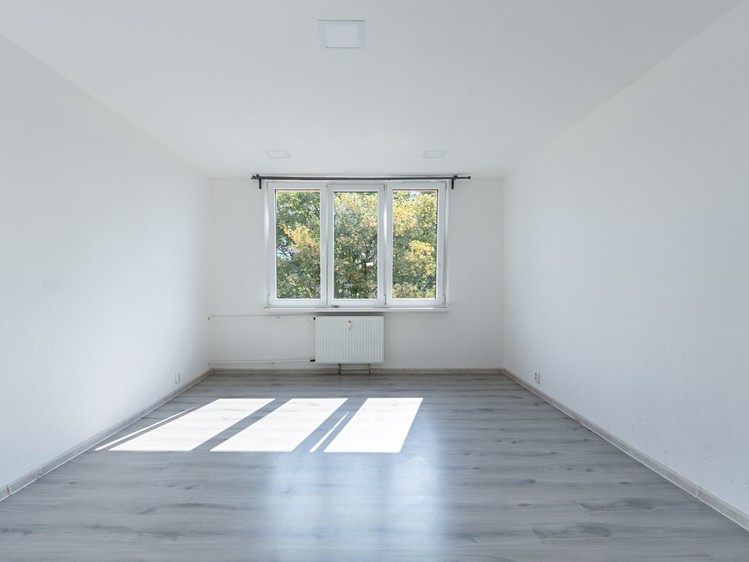 Pronájem bytu 2+1, 61 m² (13 z 36)
