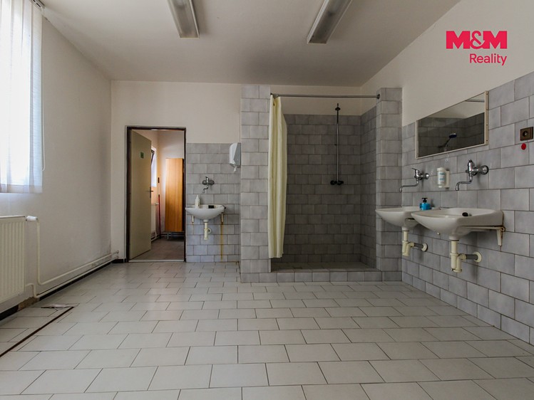Комерційне приміщення на продаж, 1 051 м² (24 з 30)