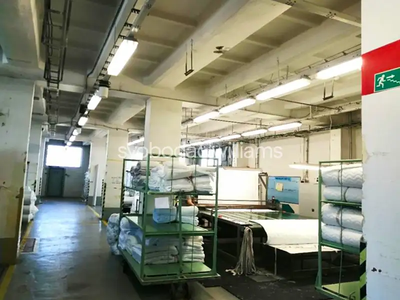 Pronájem skladového prostoru 3000 m², Břeclav – náhled fotky 3