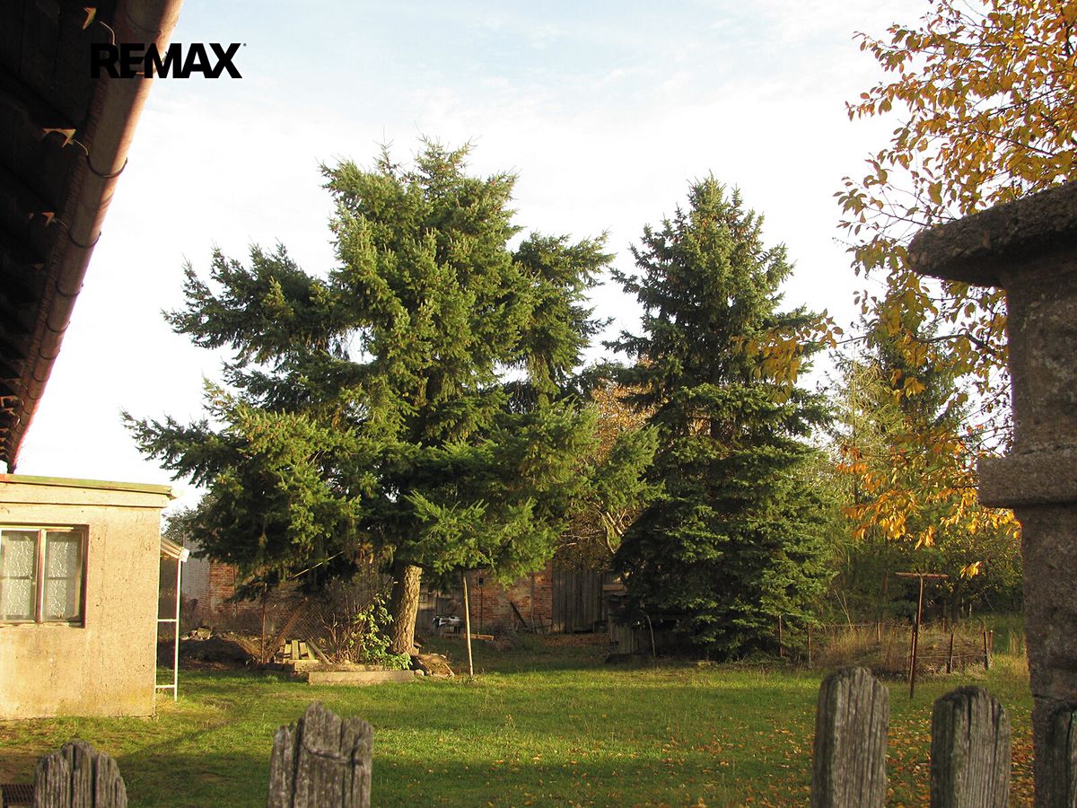 Prodej rodinného domu 160 m², pozemek 3470 m² – fotografie 4