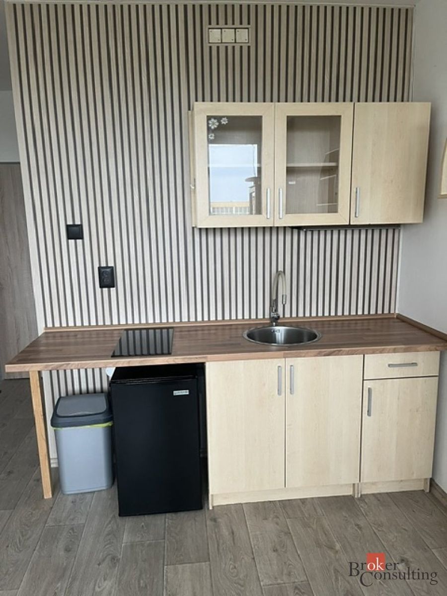 Pronájem bytu 1+kk 23 m² – fotografie 4