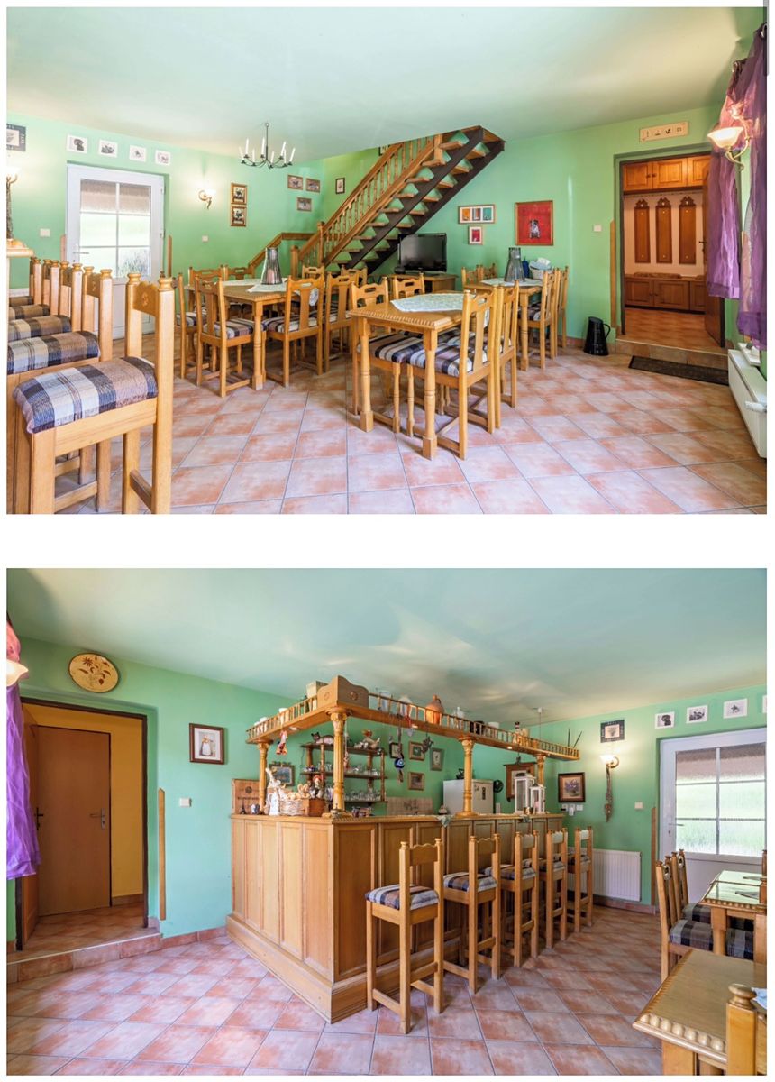 Prodej rodinného domu 341 m², pozemek 1516 m² – fotografie 4