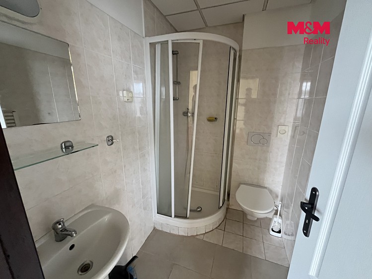 Будинок на продаж, 600 м² (15 з 30)