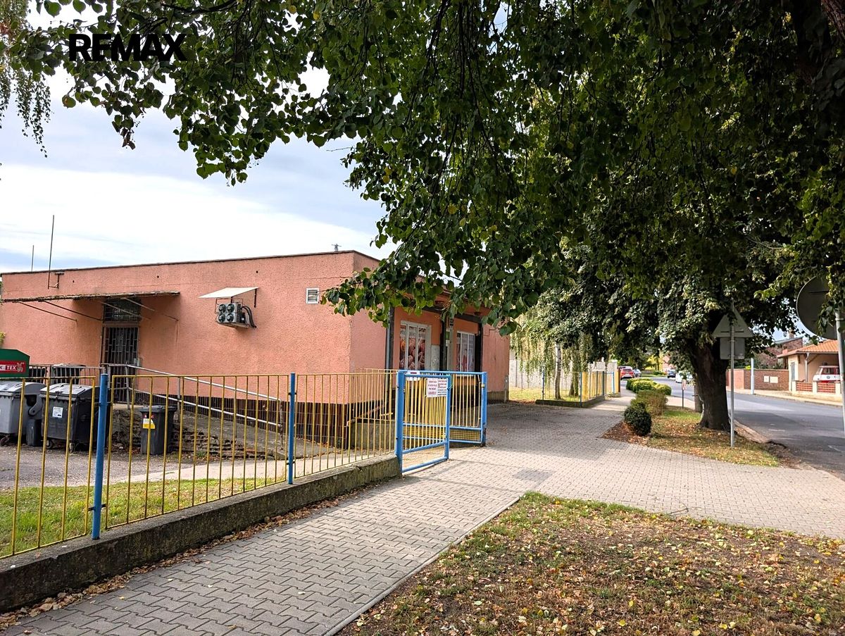 Prodej obchodního prostoru 140 m² – fotografie 5