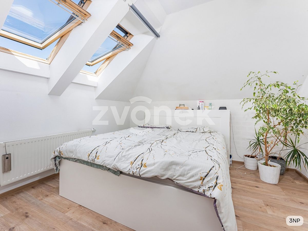 Prodej rodinného domu 284 m², pozemek 784 m² – fotografie 5