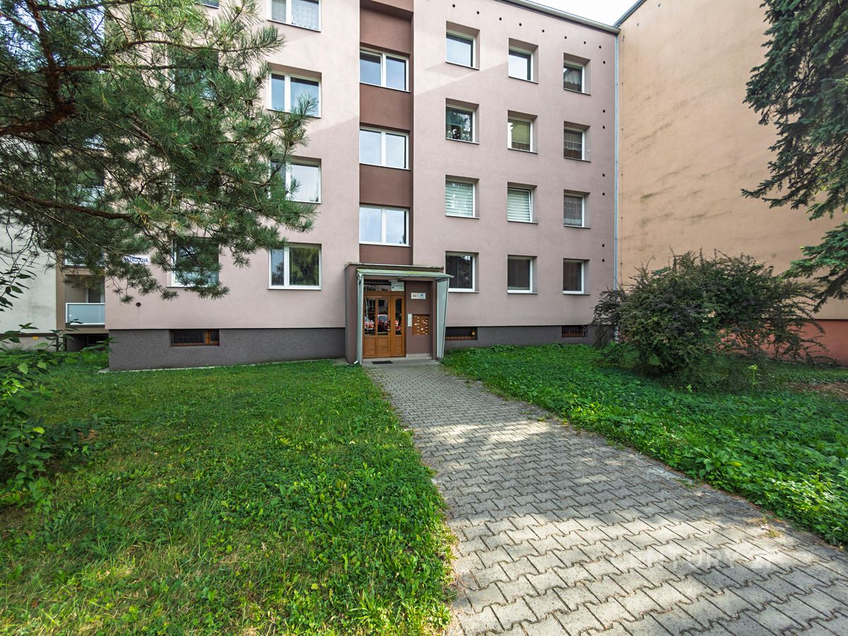 Pronájem bytu 1+1 42 m²