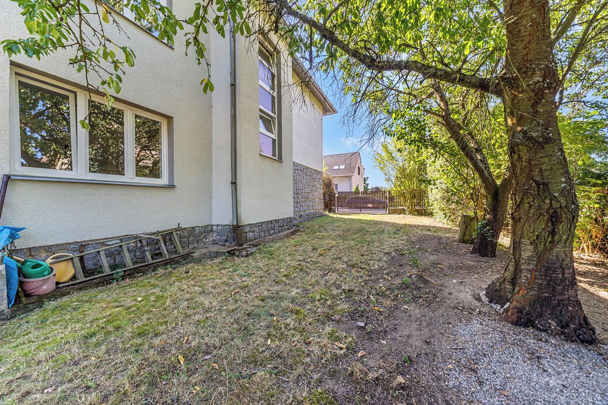 Prodej rodinného domu 250 m², pozemek 665 m² – fotografie 4