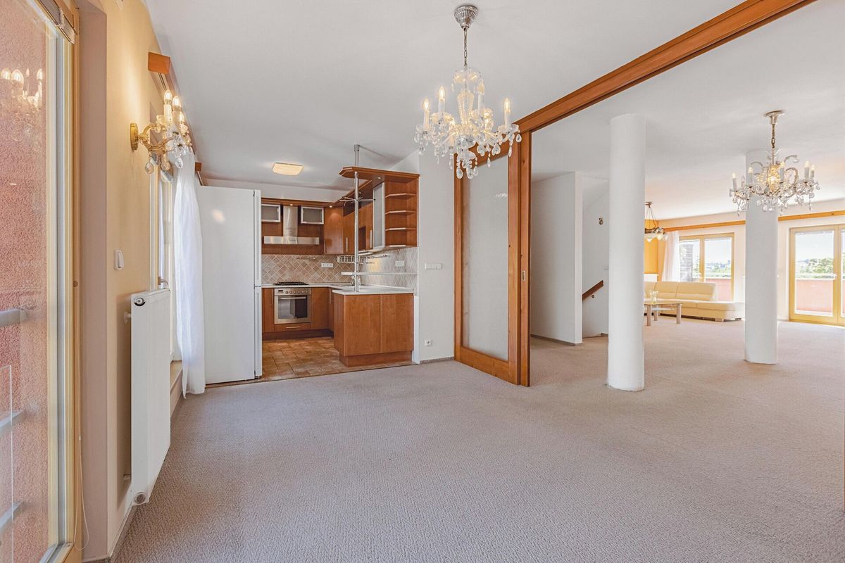 Prodej rodinného domu 330 m², pozemek 531 m² – fotografie 4