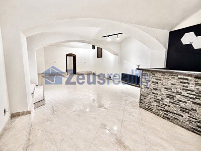 Pronájem obchodního prostoru 170 m²