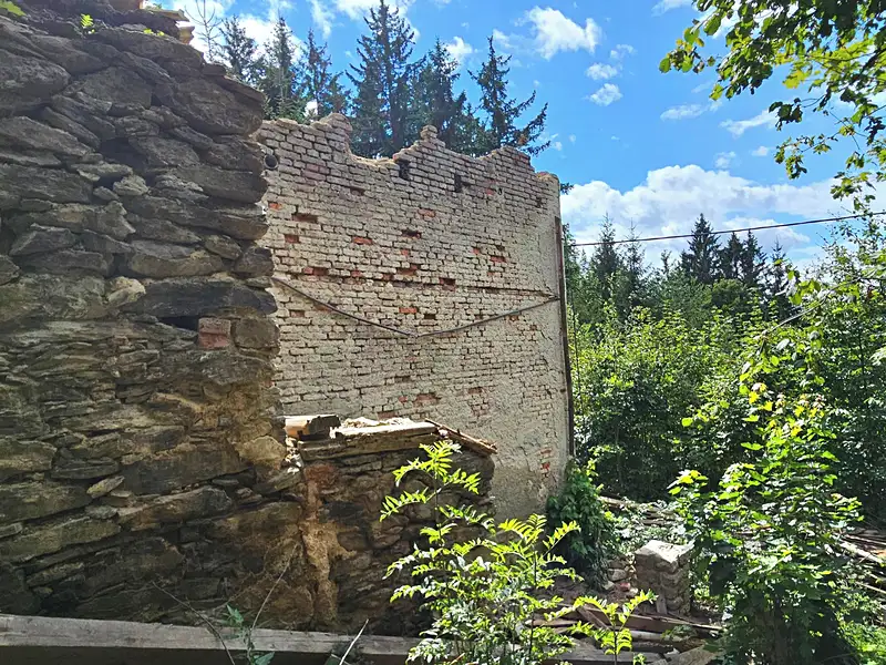 Prodej rodinného domu 300 m², pozemek 8220 m², Kořenov – náhled fotky 3