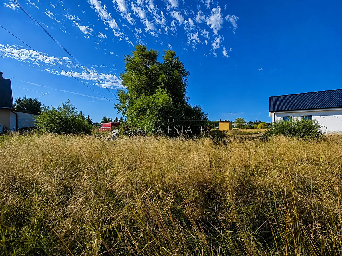 Fotka 10 z 12