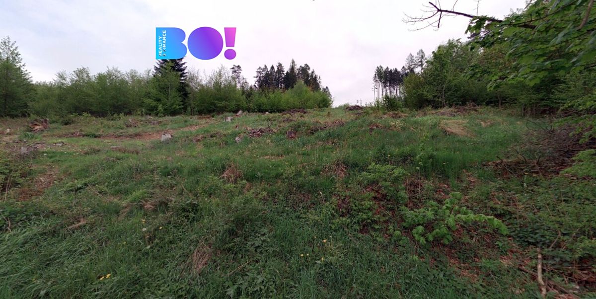 Prodej lesa 105864 m² – fotografie 3