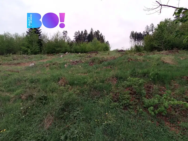 Prodej lesa 105864 m², Liptál – náhled fotky 3