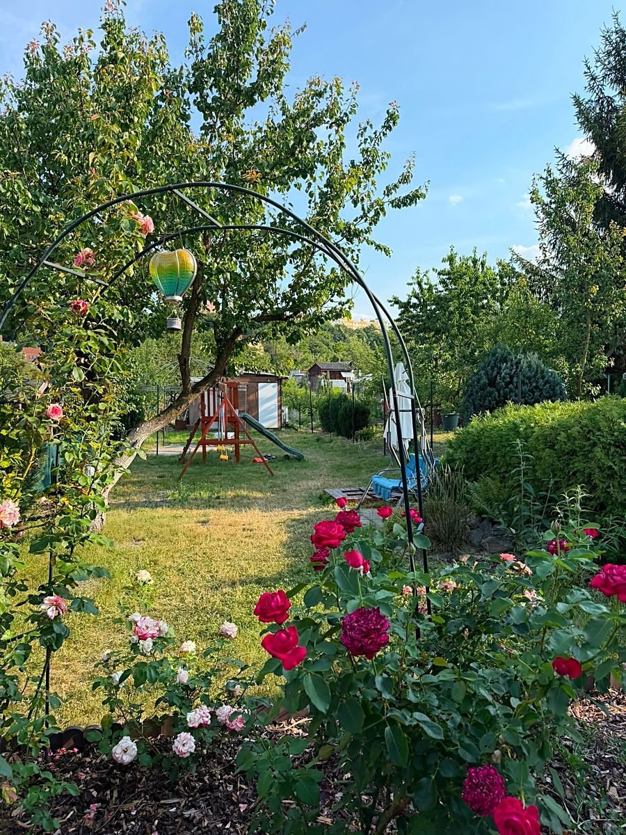 Prodej chaty 12 m², pozemek 365 m² – fotografie 5