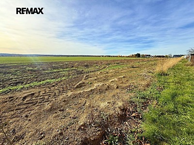 Ділянка на продаж, 8 513 м² (3 з 7)