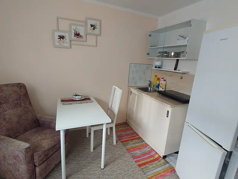 Pronájem bytu pokoje 25 m², Praha – náhled fotky 2