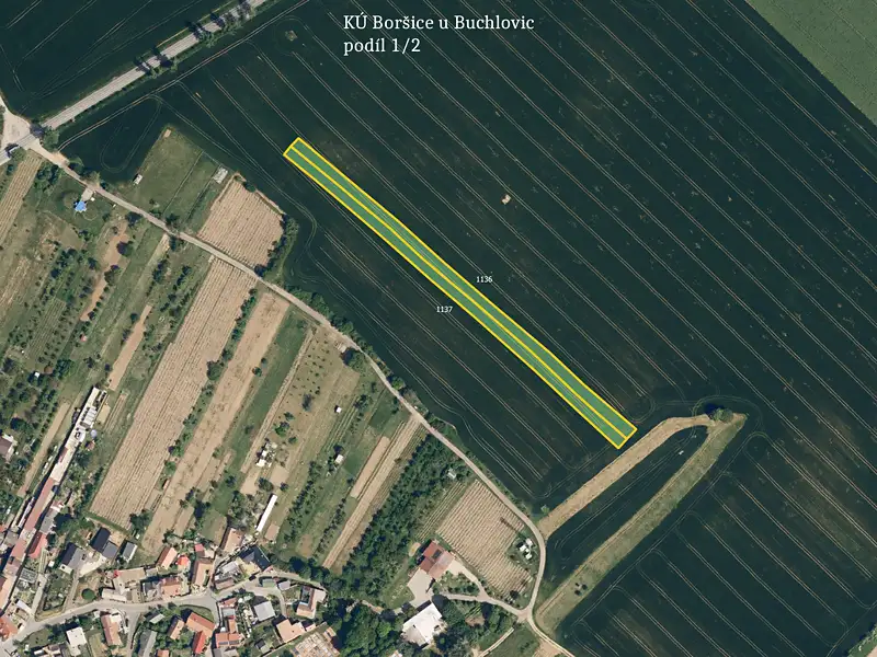 Prodej pole 2636 m², Boršice – náhled fotky 1