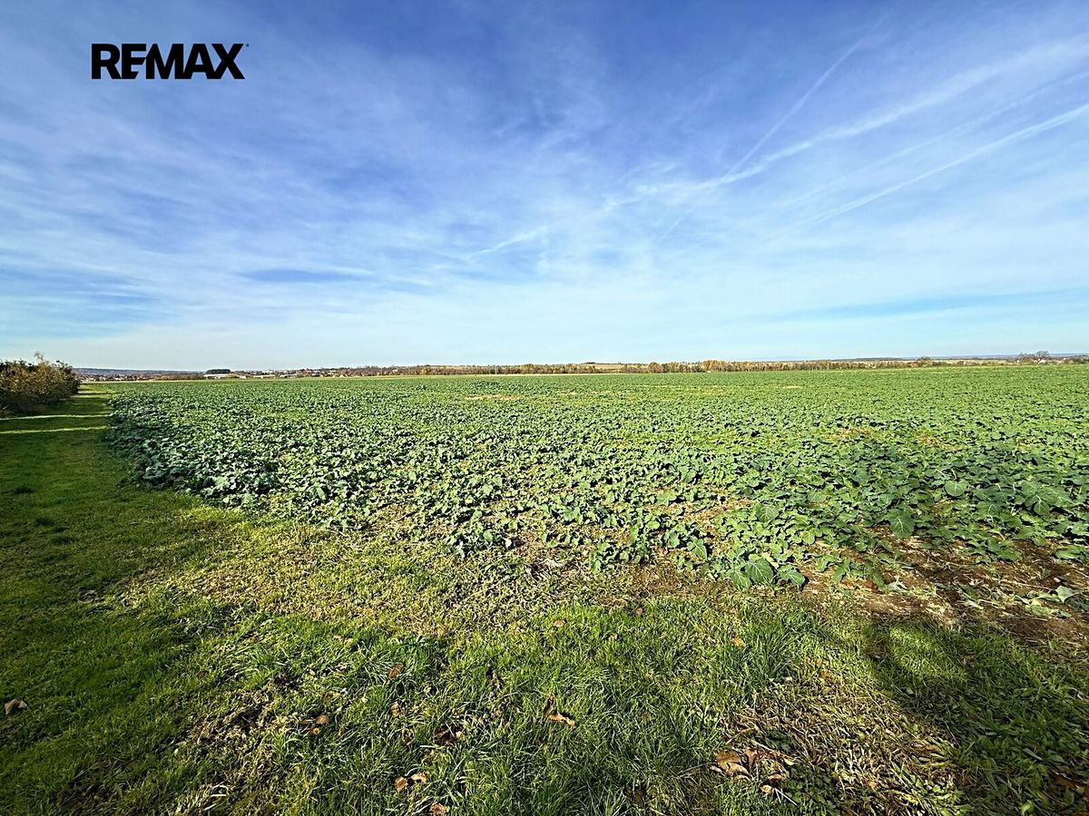 Prodej stavebního pozemku 4084 m² – fotografie 2
