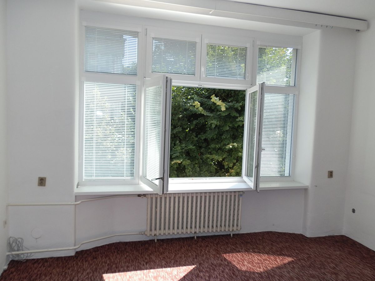 Pronájem kanceláře 41 m² – fotografie 3