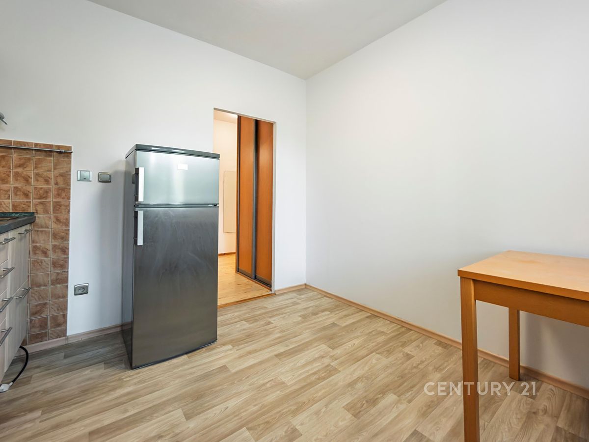 Pronájem bytu 1+1 42 m² – fotografie 4