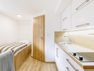 Pronájem bytu 1+kk 18 m²
