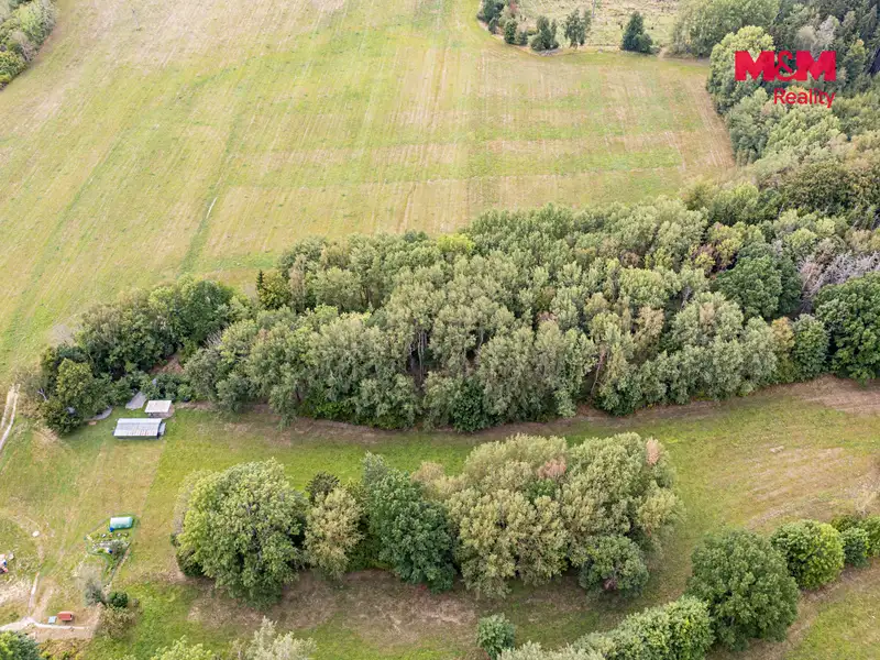 Prodej lesa 281 m², Rodná – náhled fotky 3