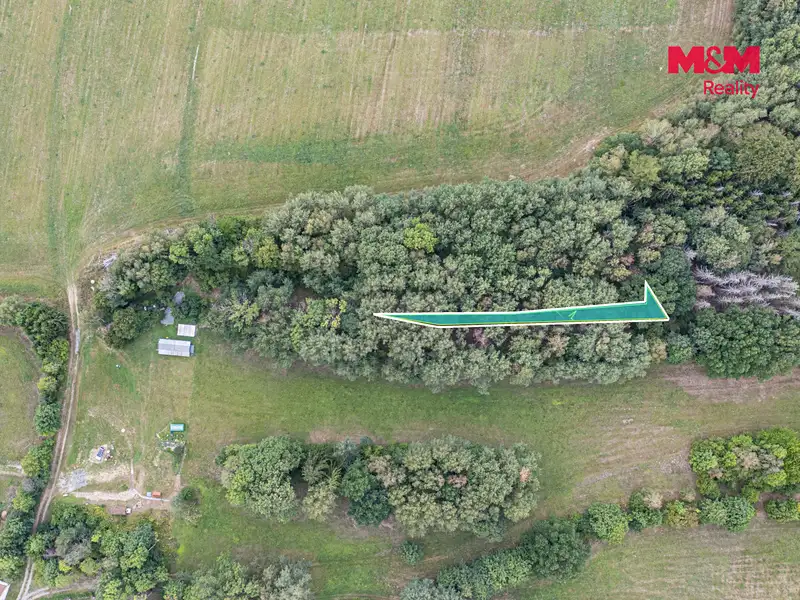 Prodej lesa 281 m², Rodná – náhled fotky 2