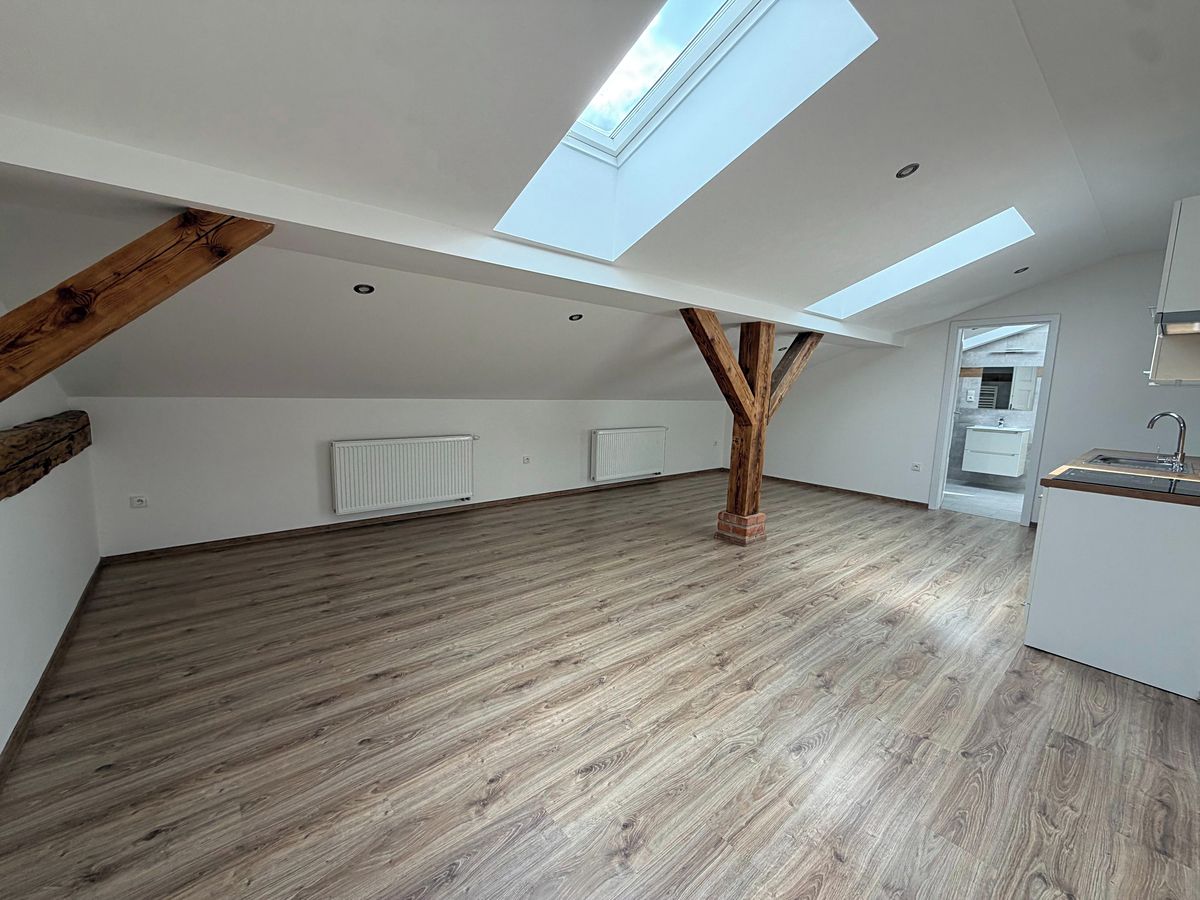 Pronájem bytu 2+kk 66 m² – fotografie 4