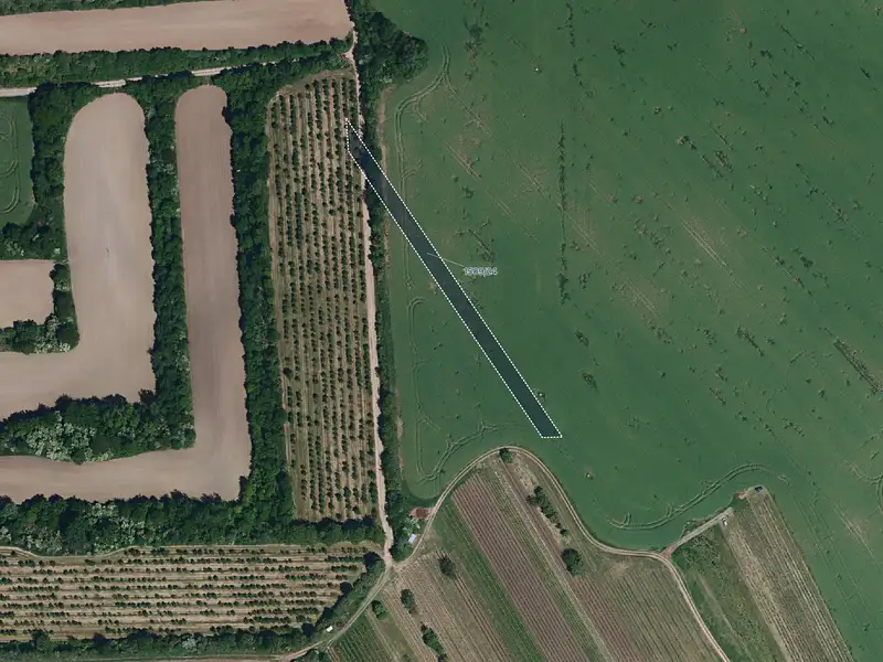 Prodej pole 6005 m², Starý Poddvorov – náhled fotky 1