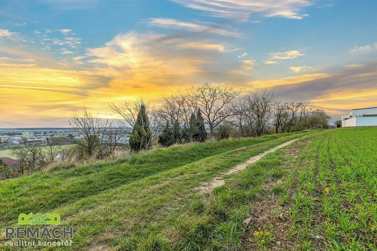 Prodej sadu, vinice 750 m²