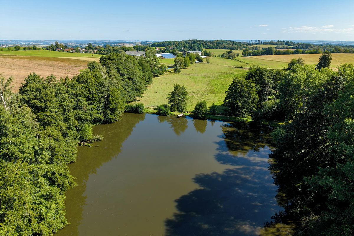 Prodej rodinného domu 100 m², pozemek 977 m² – fotografie 5